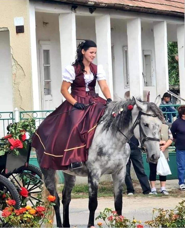 Szlávec Evelin lancszem